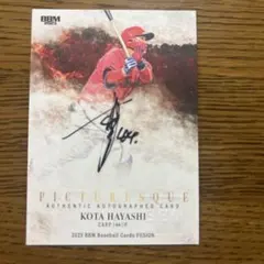 Item thumbnail for item b8ef75f5-0ab3-4886-958d-496ac2af3c40