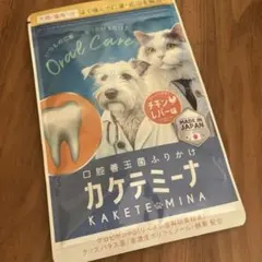 Item thumbnail for item c93b21cc-5455-4eac-a7ad-10f5bb644fbb