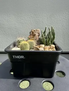 2025年最新】ハビタットスタイルの人気アイテム - メルカリ