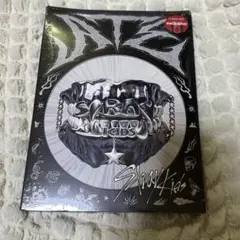 2025年最新】target straykidsの人気アイテム - メルカリ