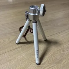 Item thumbnail for item 624cac20-8e2a-47d5-ac7c-d71a904df71d