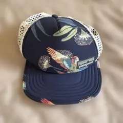 Patagonia Tracker cap