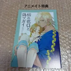 AMIRU様 リクエスト 2点 まとめ商品