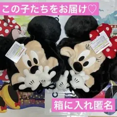 新品未使用 ディズニー ファンキャップ ミッキー ミニー 2点 - メルカリ