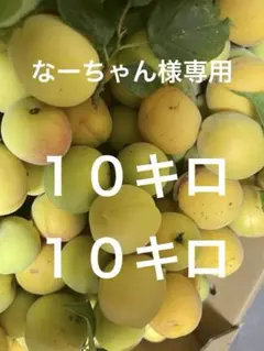 十郎梅 完熟 3L 4kg 埼玉産 - メルカリ 十郎梅完熟3L7kg埼玉産