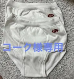 Item thumbnail for item 1a755154-51c2-4a1b-9f73-1831d7c1a6b3