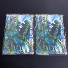 神秘の集う遺跡エウルブッカ/遺跡類神秘目レジルエウルブッカ 2枚