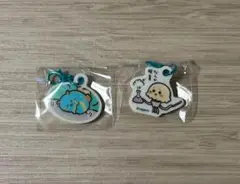 ナガノキャラクターズ アザラシたちのアクリルチャーム ウミウシ　タコクラゲ