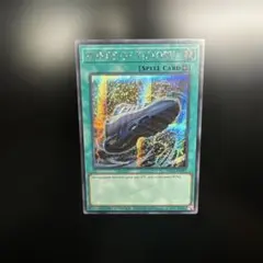 遊戯王×ナイキ　エアマックス95 