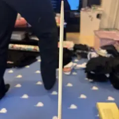 Item thumbnail for item e9c7ea7c-e8a4-421b-b020-08f25580d53a