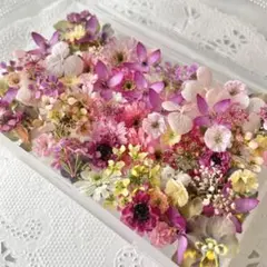 No.178 小花のドライフラワーセット