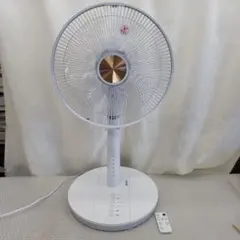 5125　2個セットリモコンリビング扇風機 30cm5枚羽根 おおたけ タイマー 5125 2個セットリモコンリビング扇風機 30cm5枚羽根 おおたけ