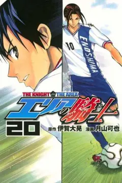 エリアの騎士 20