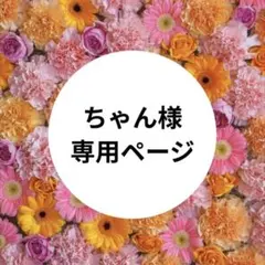 【ちゃん様　専用】