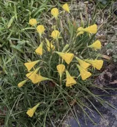 たまみ様 リクエスト 4点 まとめ商品