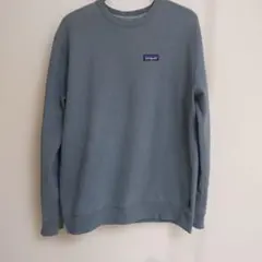 パタゴニアスウェット