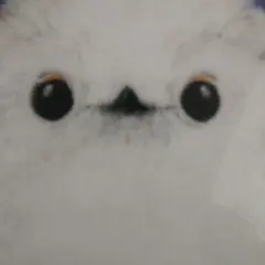 シマエナガ・オリジナルハンドタオル