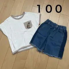 男の子　Tシャツ　ハーフパンツ　100 まとめのサムネイル