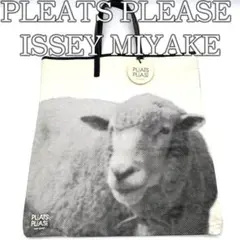 RARE Issey Miyake Pleats Please Tote Bagのサムネイル