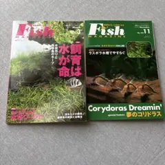 月刊フィッシュマガジン 2冊セット 2002年3月・11月号