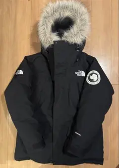 THE NORTH FACEノースフェイス アンタークティカパーカLサイズ