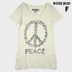 Item thumbnail for item 658de979-040c-4455-be41-40b57d20ee2f