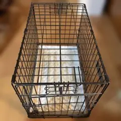 Item thumbnail for item a5d99597-a14e-4bbd-ad97-6bb0871e4824