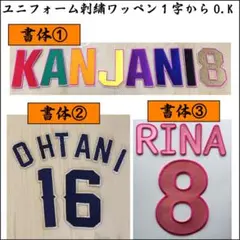 おすし様専用 251128