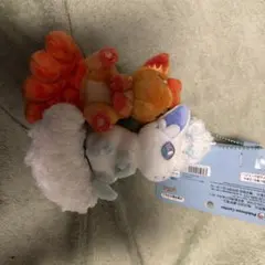 ポケモン ロコン アローラロコン　ぬいぐるみ　マスコット