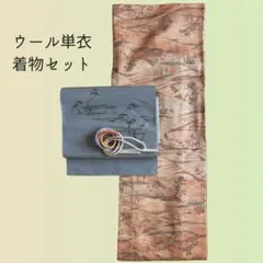 すぐ着れる！褒められ単衣ウール着物セット【超美品】