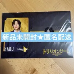 目黒蓮　SnowMan トリリオンゲーム