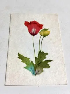 和紙　ちぎり絵　グリーティングカード　封筒つき　けしの花