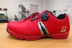 Item thumbnail for item 5c976bf3-4ea6-41a7-8447-b01c904f61b0