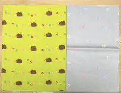 Item thumbnail for item 9b507acb-1723-449b-8706-eb7dbc331491