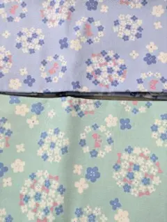 Item thumbnail for item b8badf4d-e1b1-4c36-8501-3d35c38d2dce