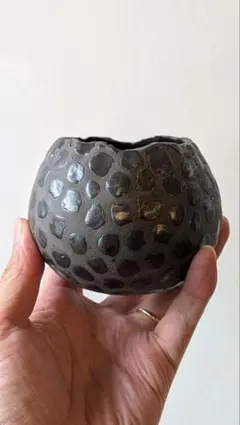 プランツモンスター ポット 植木鉢 塊根植物 コーデックス プランツモンスター ポット 植木鉢 塊根植物 コーデックス - メルカリ