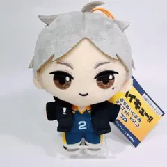 2026年最新】菅原孝支ぬいぐるみの人気アイテム - メルカリ