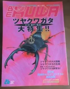 2026年最新】ビークワの人気アイテム - メルカリ