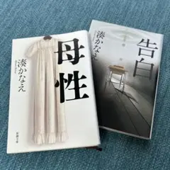 Item thumbnail for item d387763d-e4ee-4907-946d-3cba574e87ba