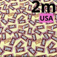 USAコットン★1枚限り★ウィリーウォンカとチョコレート工場★くすみイエロー★