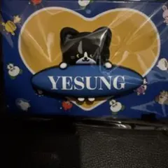 Yesung x Koichi Yairi キーホルダー イェソン SUPER JUNIOR - 公式 YESUNG イェニャン DOLL KEY RING イェソンの通販