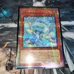 マルチャミープルリア プリシク