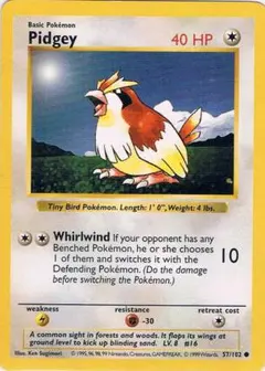 英語版　Pidgey　ポッポ● シャドウレス　ウィザーズ社製