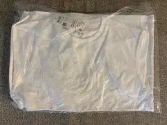 Item thumbnail for item d37bb47e-9286-4120-9096-4f4fcce050ce