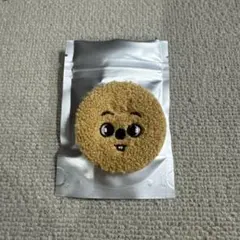 ハン 缶バッジ ペンミ