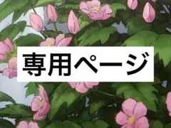 ◆購入禁止◆ゆい様専用ページ