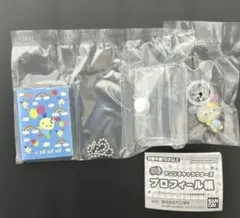 ゆるっとめじるしアクセサリー　キャラクターズプロフィール帳【ウサハナ2点セット】