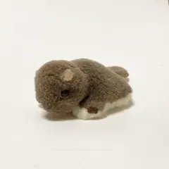 やまね やまね工房 りす リス ぬいぐるみ 2匹 - メルカリ
