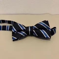 Item thumbnail for item 9e3029a8-5afd-4e3a-bd51-ff463afb0d68