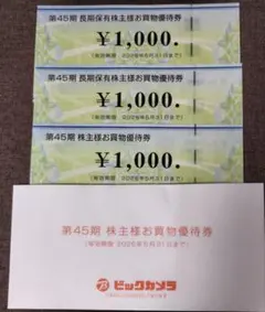 ビックカメラ　株主優待